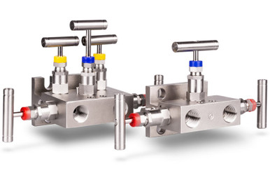Manifold valve