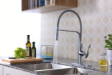 Accent Single Handle Pull-Down Sprayer Kitchen Faucet in Polished Chrome