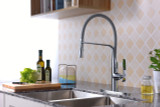 Accent Single Handle Pull-Down Sprayer Kitchen Faucet in Polished Chrome