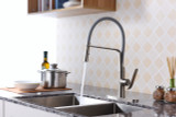 Accent Single Handle Pull-Down Sprayer Kitchen Faucet in Brushed Nickel