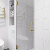 Passion Series 24 in. by 72 in. Frameless Hinged shower door in Brushed Gold with Handle