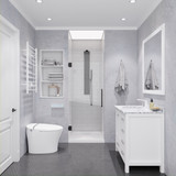 Passion Series 30 in. by 72 in. Frameless Hinged Shower Door in Gunmetal with Handle