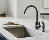 Parma 1H Kitchen Faucet w/ Spray 1.75gpm Satin Black