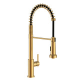 Parma 1H Pre-Rinse Pull-Down Kitchen Faucet 1.75gpm Brushed Bronze