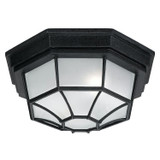 Capital Lighting 2 Lamp Outdoor Ceiling Fixture