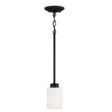 Capital Lighting Dixon 1-light Pendant