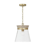 Capital Lighting Finn 1-light Pendant