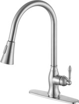 Rodeo Single-Handle Pull-Out Sprayer Kitchen Faucet in Brushed Nickel