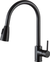 Sire Single-Handle Pull-Out Sprayer Kitchen Faucet in Oil Rubbed Bronze