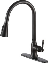 Rodeo Single-Handle Pull-Out Sprayer Kitchen Faucet in Oil Rubbed Bronze