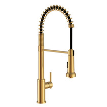 Parma 1H Pre-Rinse Pull-Down Kitchen Faucet 1.75gpm Brushed Bronze