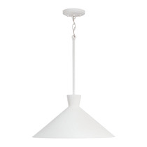 Capital Lighting Paloma 1-light Metal Pendant