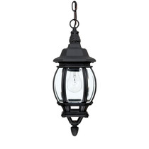 Capital Lighting 1 Lamp Hanging Outdoor Lantern