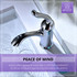 Arc Series Single Hole Single-Handle Low-Arc Bathroom Faucet in Polished Chrome