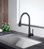 Tulip Single-Handle Pull-Out Sprayer Kitchen Faucet in Oil Rubbed Bronze