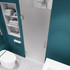 Passion Series 24 in. by 72 in. Frameless Hinged shower door in Brushed Nickel with Frosted Glass and Handle