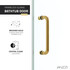 Raymore Series 60 in. x 62 in. Frameless Sliding Tub Door in Brushed Gold