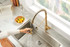 Parma 1H Pre-Rinse Pull-Down Kitchen Faucet 1.75gpm Brushed Bronze