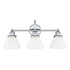 Capital Lighting 3 Light Vanity