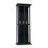 Capital Lighting 3 Light Outdoor Wall Lantern