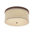 Capital Lighting 3 Light Ceiling Fixture