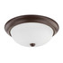 Capital Lighting 3 Light Ceiling Fixture