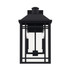 Capital Lighting 2 Light Outdoor Wall Lantern