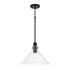 Capital Lighting Greer 1-light Pendant