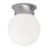 Capital Lighting 1 Light Ceiling Fixture