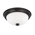 Capital Lighting 2 Light Ceiling Fixture