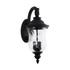 Capital Lighting 2-light Top-arm Wall Lantern