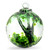 Small Spirit Tree "Juniper"