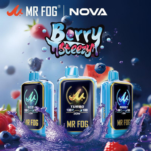 Mr. Fog Berry Steezy Nova 5% Disposable Vape