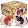 Guinea Pig Salt and Pepper Shaker Set
