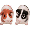 Guinea Pig Salt and Pepper Shaker Set