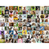 99 Lovable Dogs 750pc Puzzle