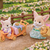 Sunny Picnic Set with Fennec Fox Sister and Baby