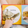 Poke-a-Dot Book - Pet Families