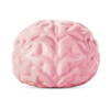 Oddballz Giant Brain Stress Ball