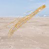 51 inch Holographic Mylar Windsock - Gold