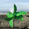 Baby Whirligig - Sea Turtle