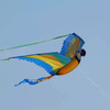 3D Blue Macaw Kite