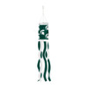 Michigan State University Windsock