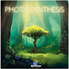 Photosynthesis - The Green Strategy Board Game