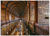 Trinity College Library 1000 piece puzzle