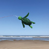 Sea Turtle 3D  Windsock