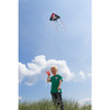 Jolly Roger Pirate delta kite