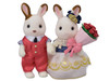 Calico Critters Cute Couple Set