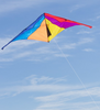 Kite Flying