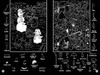 Christmas Hidden Picture Puzzles to Highlight
